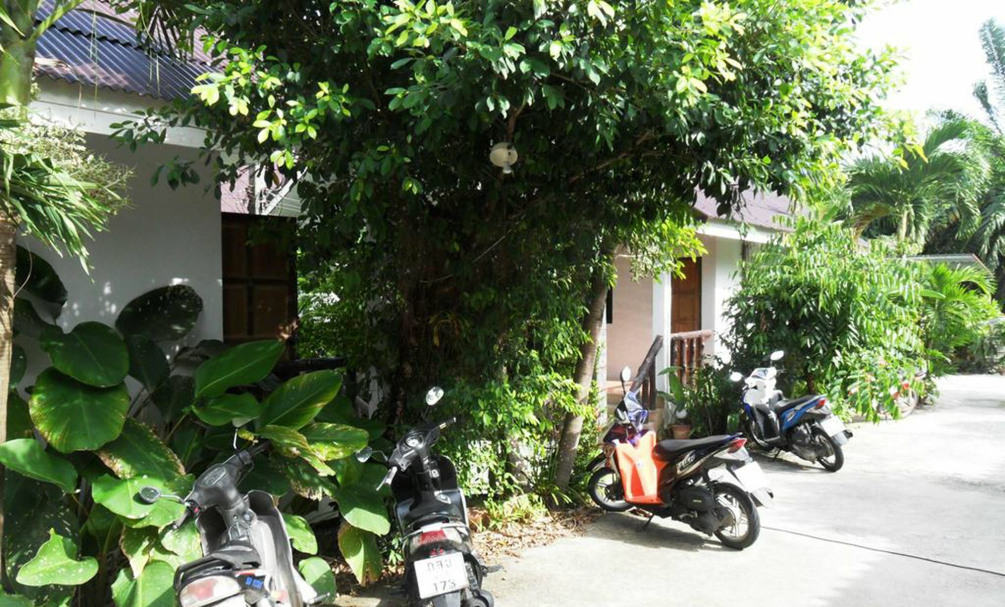 Aonang Sr Bungalows Ao Nang Buitenkant foto